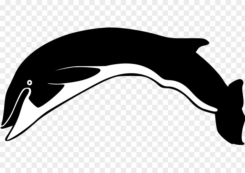 Dolphin Clip Art Fauna Line Fish PNG