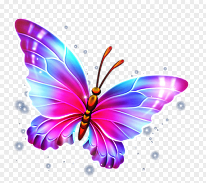 Glasswing Butterfly Clip Art Transparency PNG