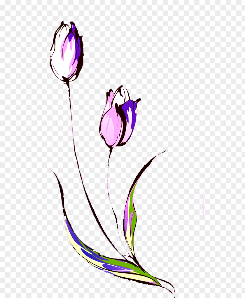 Hand-painted Tulip Drawing Flower Sticker Wallpaper PNG