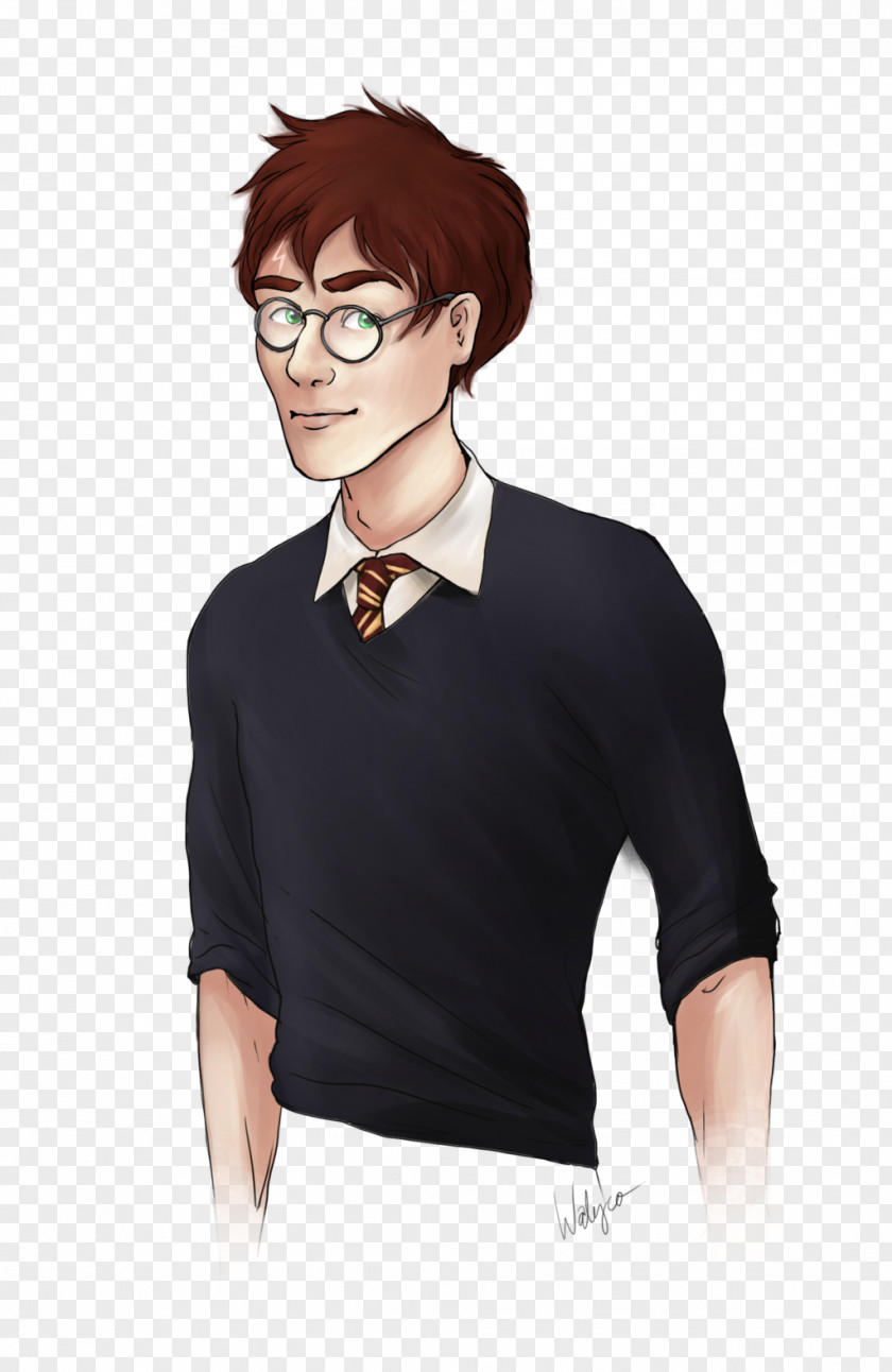 Harry Potter And The Philosopher's Stone James Dobby House Elf Fan Art PNG