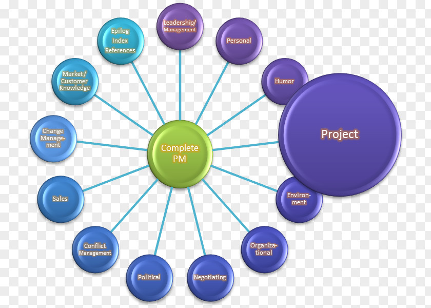 Julianna Rose Mauriello Project Management The Complete Manager: Integrating People, Organizational, And Technical Skills PNG