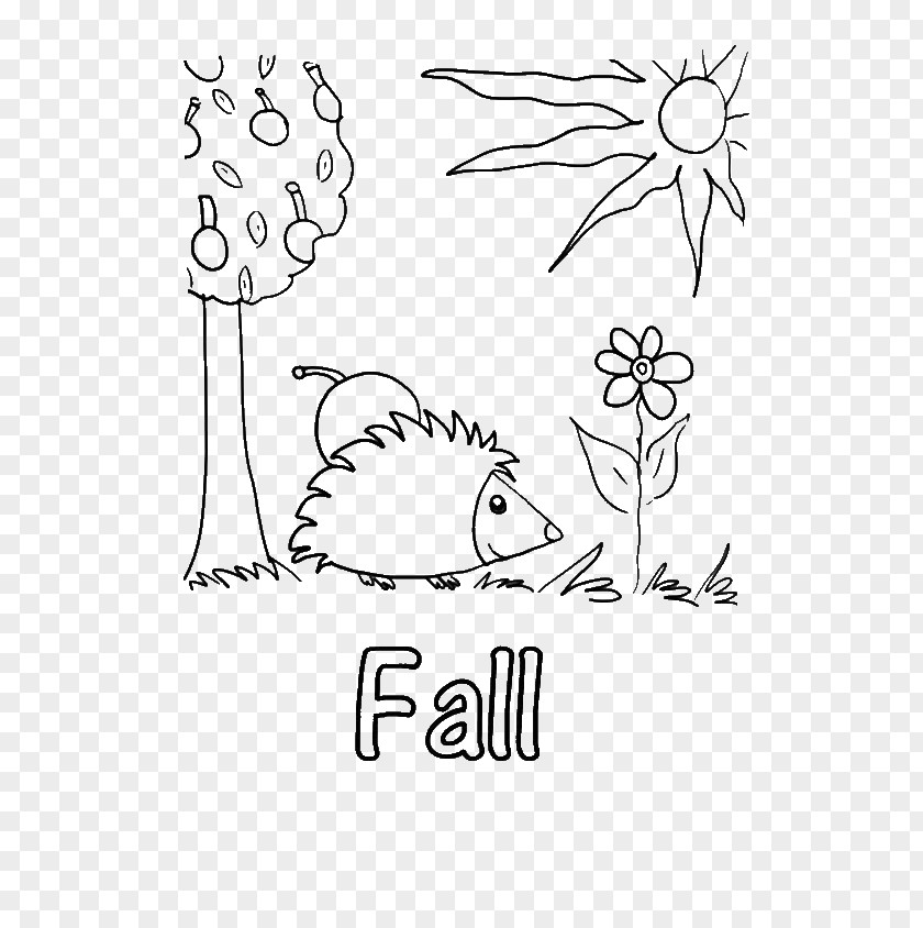 Pine Branch Coloring Page Book Colouring Pages Autumn Season Child PNG