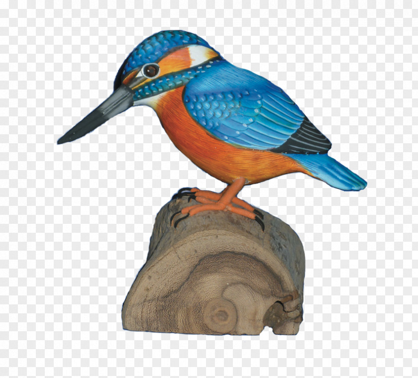 Balinese Watercolor Wood Carving Bird Beak Kingfisher PNG