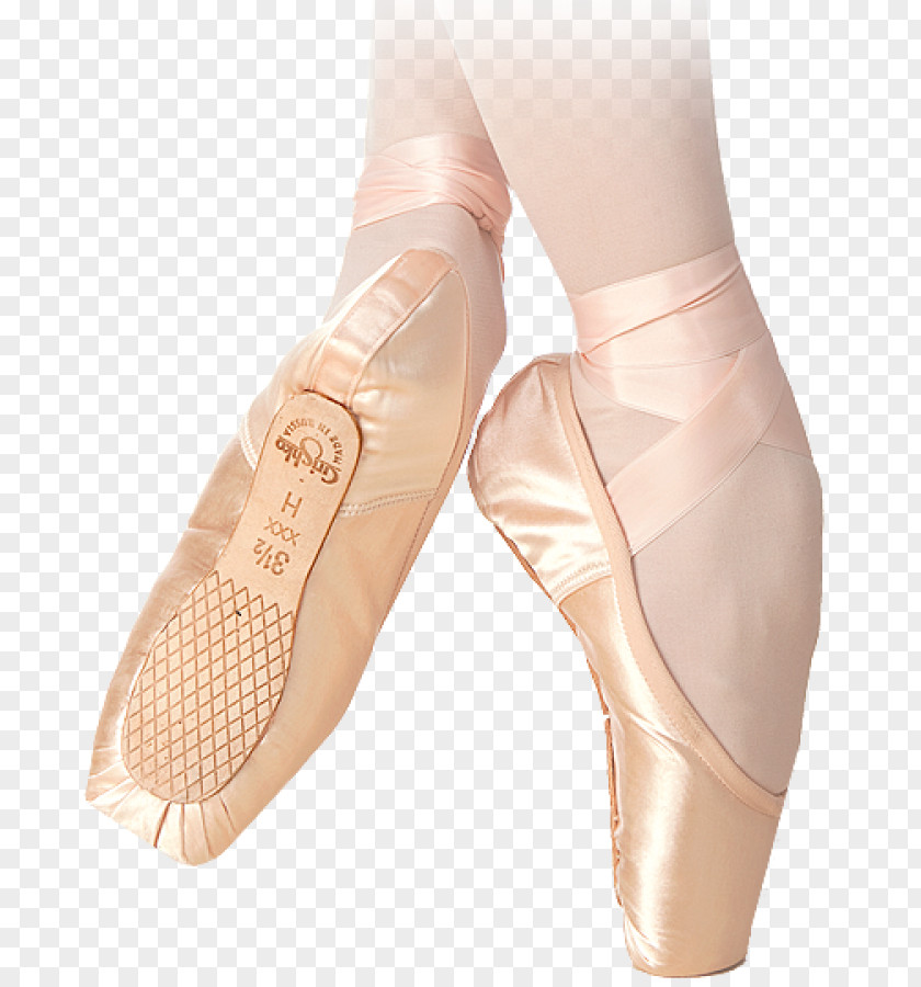 Ballet Pointe Shoe The Of Dance Ltd. Technique PNG
