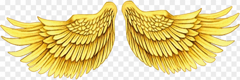 Golden Wings Posters Wing Gold PNG