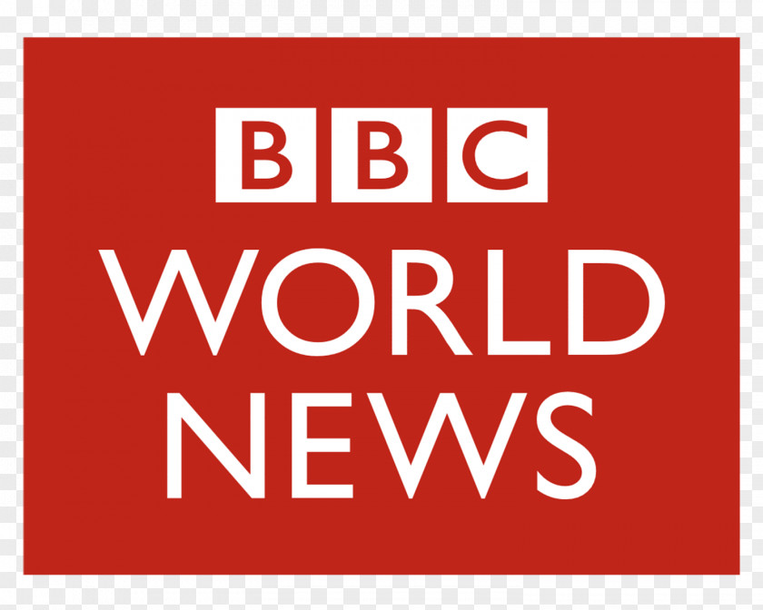 Rita Ora BBC World News Broadcasting Television Channel PNG