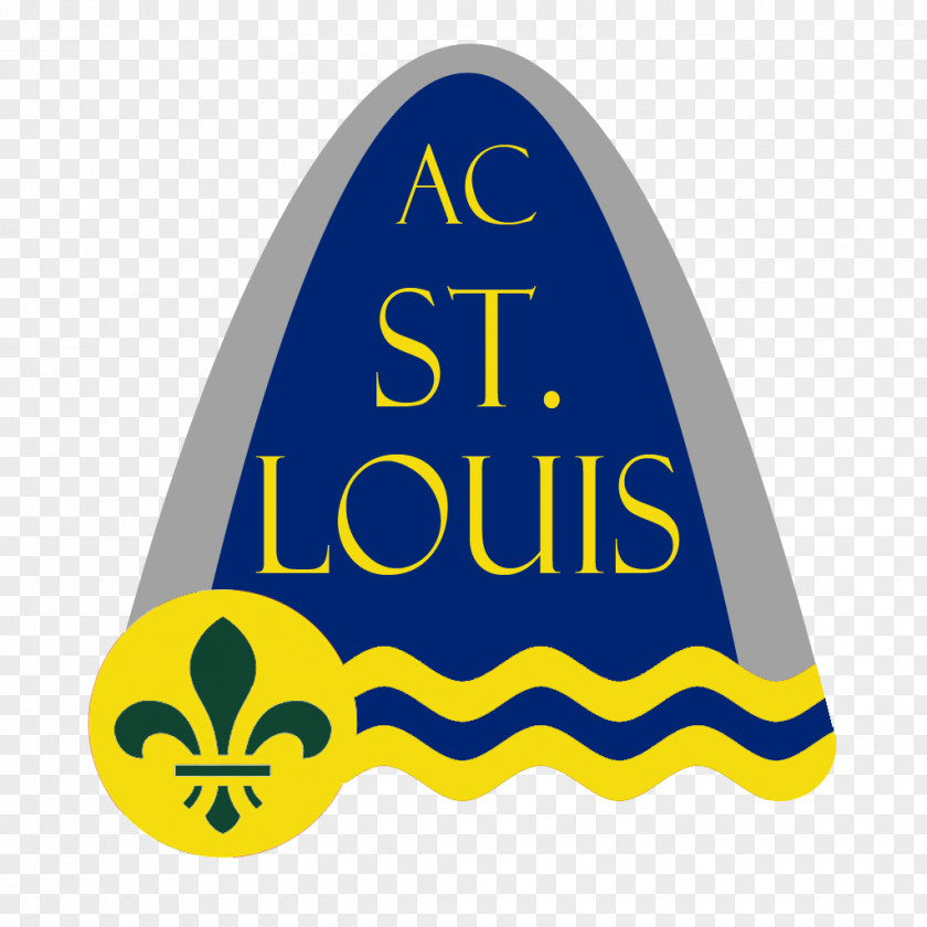 St Louis Skyline St. MO-IL, Metropolitan Statistical Area Craft Magnets Flag Of Refrigerator PNG