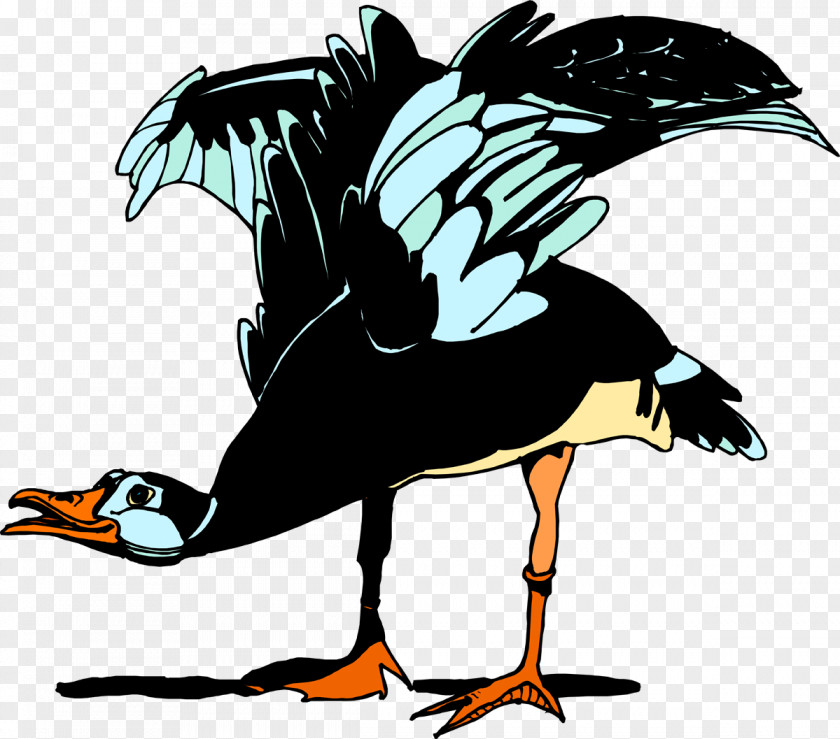 Vulture Water Bird Goose Cygnini Anatidae PNG