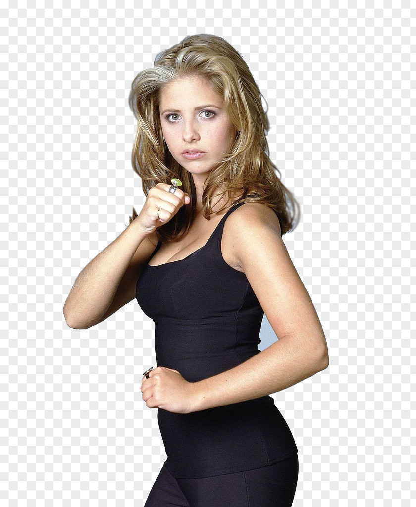 Actor Sarah Michelle Gellar Buffy The Vampire Slayer Anne Summers Cordelia Chase Riley Finn PNG