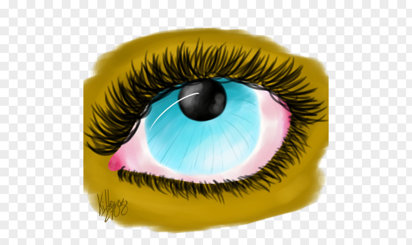 Alpaca DeviantArt Iris Eyelash Extensions PNG