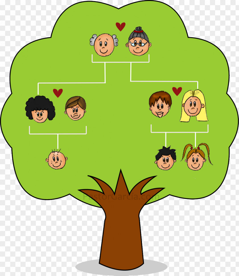 Family Tree Child Genealogy Nuclear PNG
