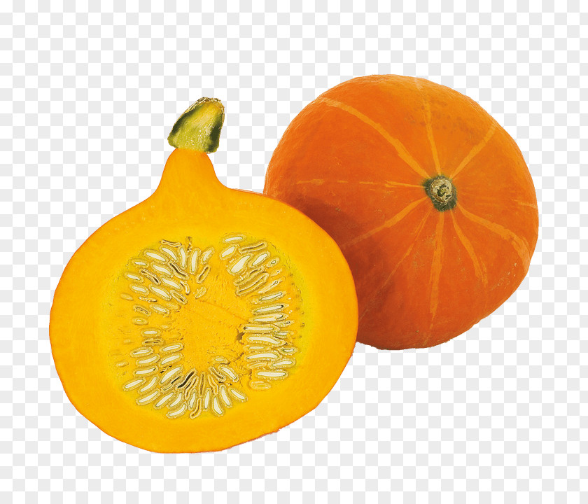 Pumpkin Gourd Winter Squash Red Kuri Muffin PNG