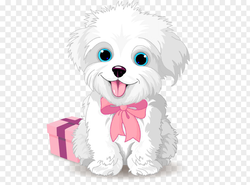 Puppy Maltese Dog Bichon Frise Morkie Yorkshire Terrier PNG