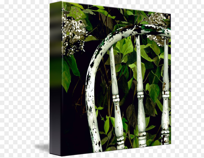 Tree Gallery Wrap Canvas Art Flowerpot PNG