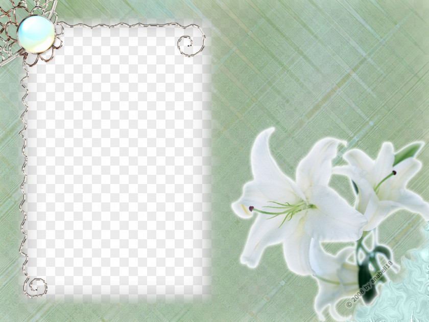 White Flower Frame Transparent PNG