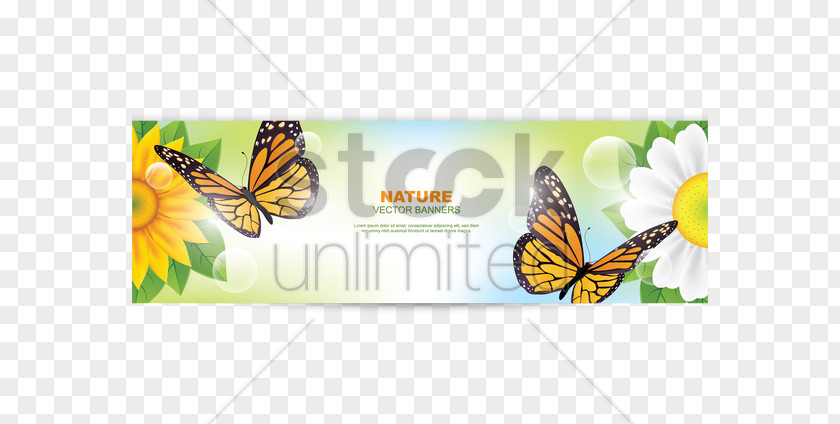 Butterfly Illustration Monarch Clip Art PNG