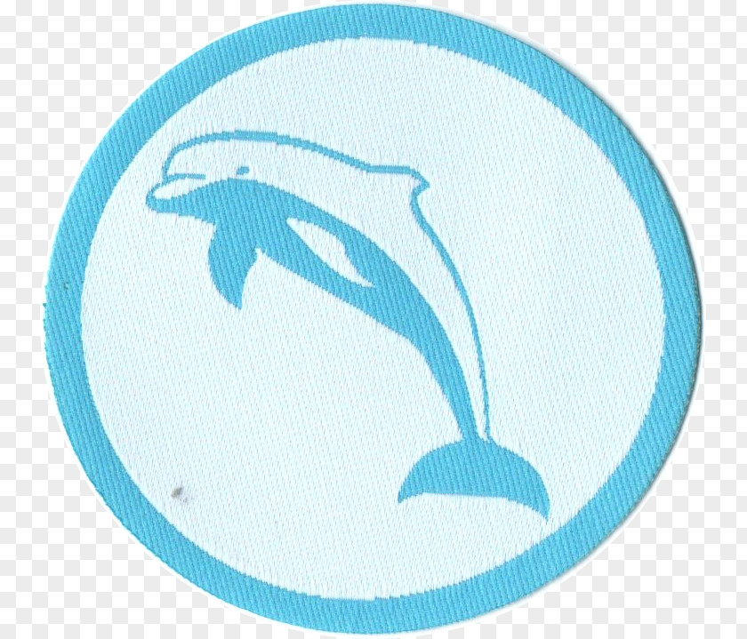 Dolphin Amazon River Schwimmabzeichen Porpoise Cetacea PNG