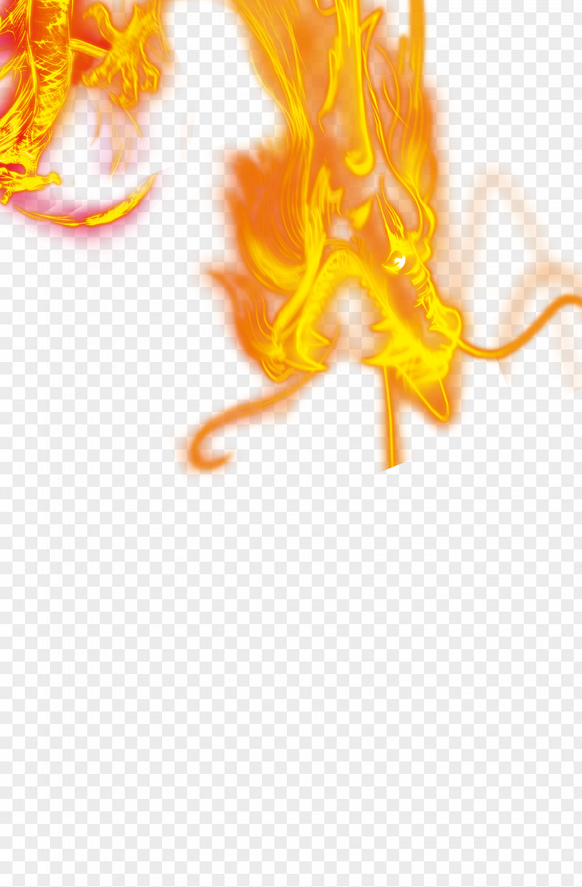 Flame Dragon Psd Source Material Fire Icon PNG