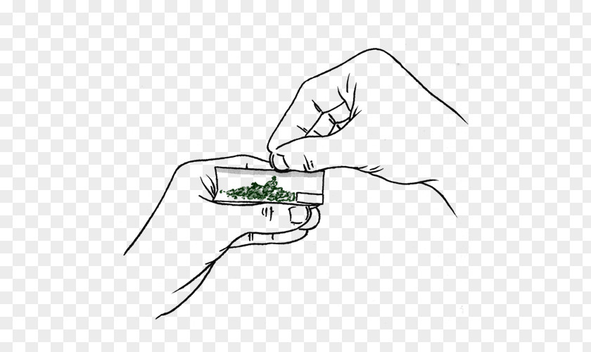 Joint Weed Drawing Paper Line Art PNG