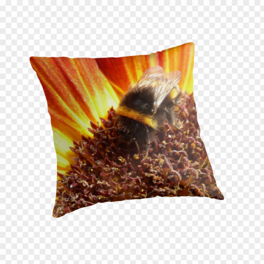 Sunflower Decorative Material Cushion PNG
