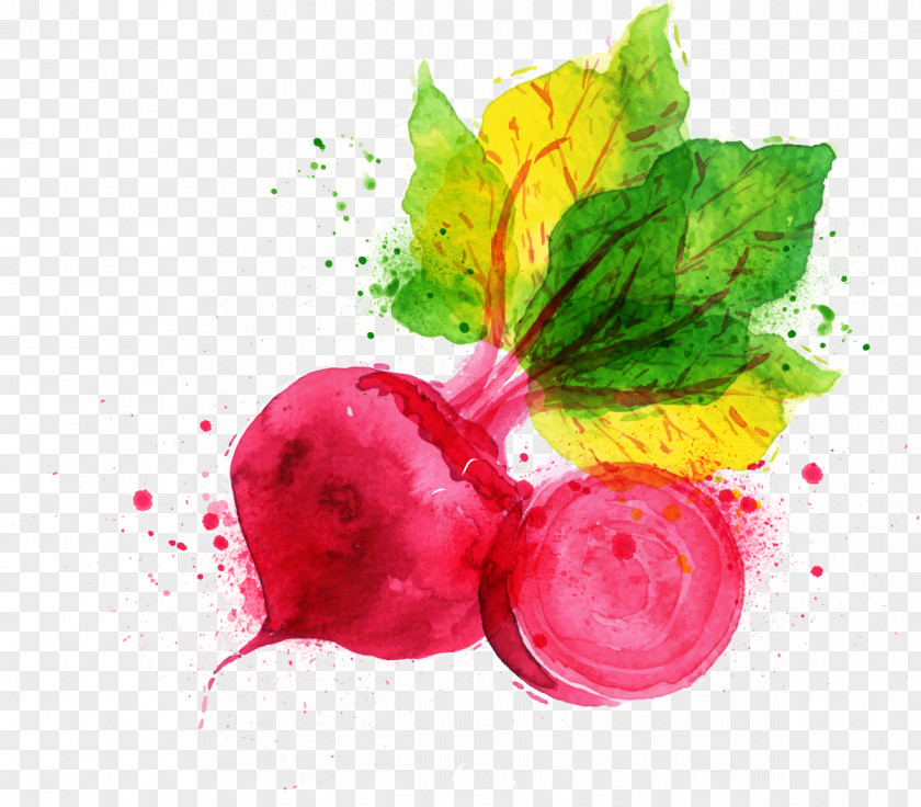 Drawing Cartoon Vegetables Vegetable Fruit Logo Carrot PNG