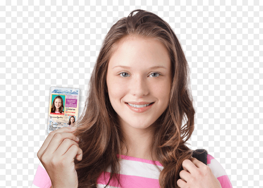 Driving Learner's Permit Driver's License Education PNG