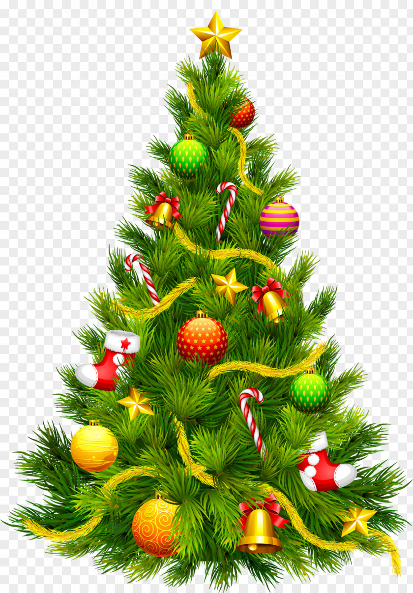 Fir-tree Christmas Tree Santa Claus Candy Cane Clip Art PNG
