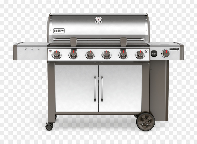 Grill Barbecue Weber-Stephen Products Natural Gas Burner Propane PNG