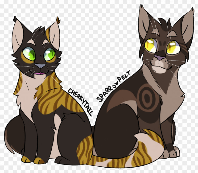 Erin Hunter SkyClan's Destiny Firestar's Quest Whiskers Kitten Cat PNG