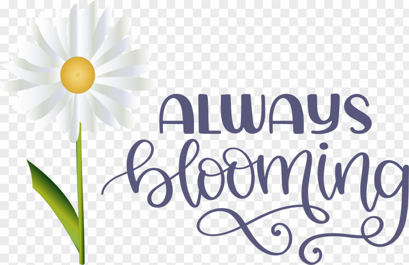 Floral Design PNG