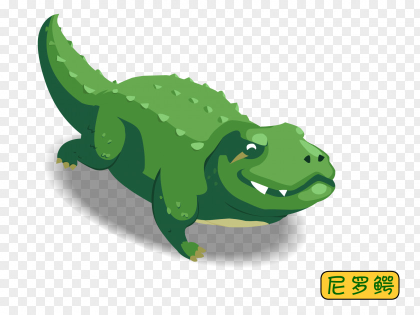 Hand-painted Crocodile Crocodiles Early Childhood Education Illustration PNG