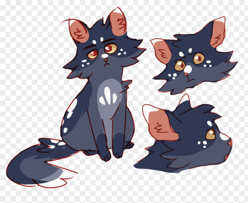 Kitten Whiskers Black Cat Illustration PNG