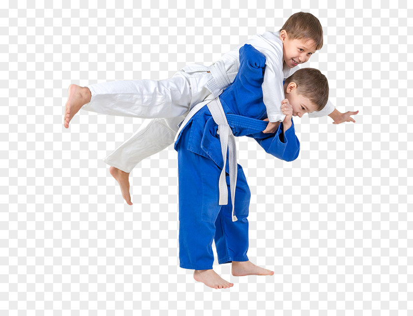 Mixed Martial Arts Judo Brazilian Jiu-jitsu Jujutsu Grappling PNG