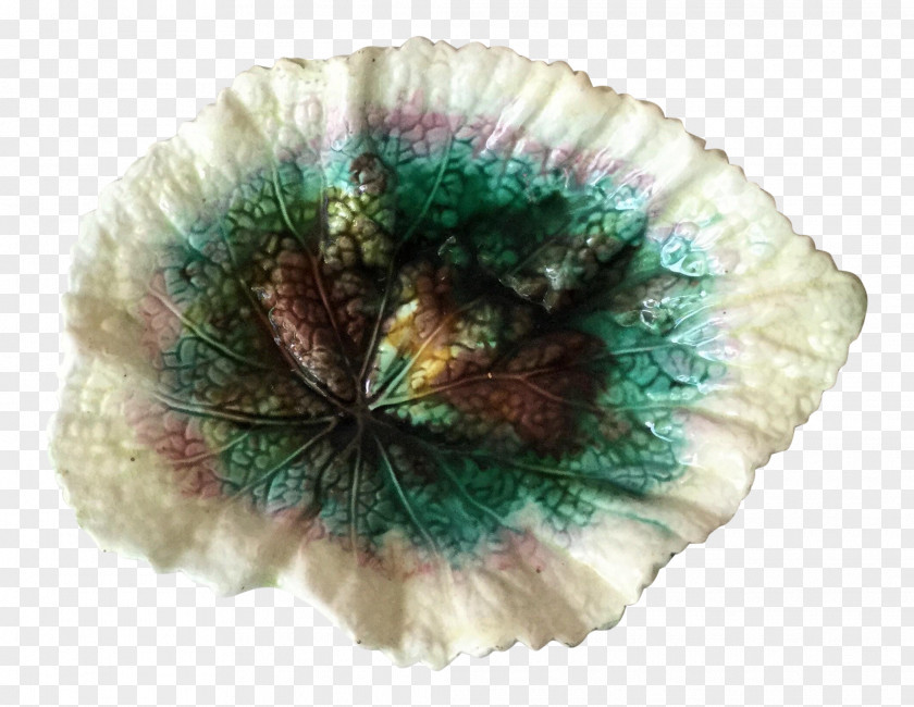 Pompom Hand Fan Mineral Turquoise PNG
