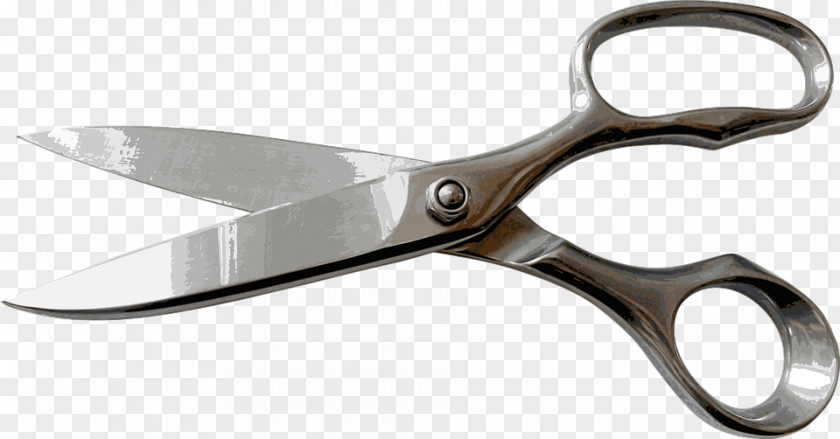 Scissors Earth Cost Hairstyle PNG