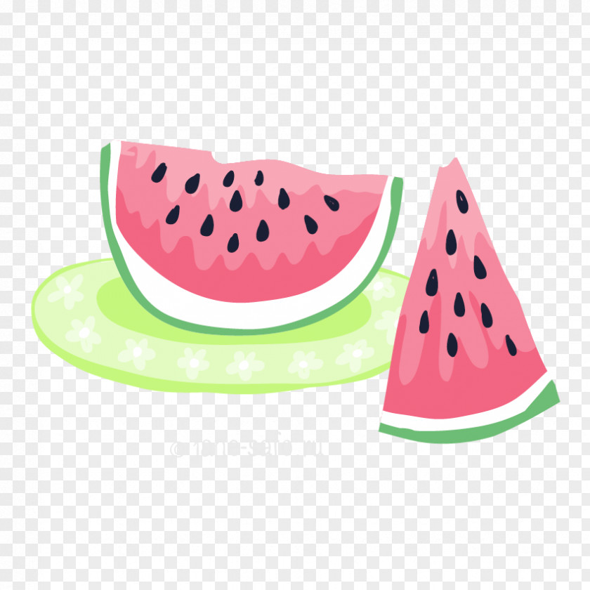 Watermelon Muskmelon Clip Art PNG