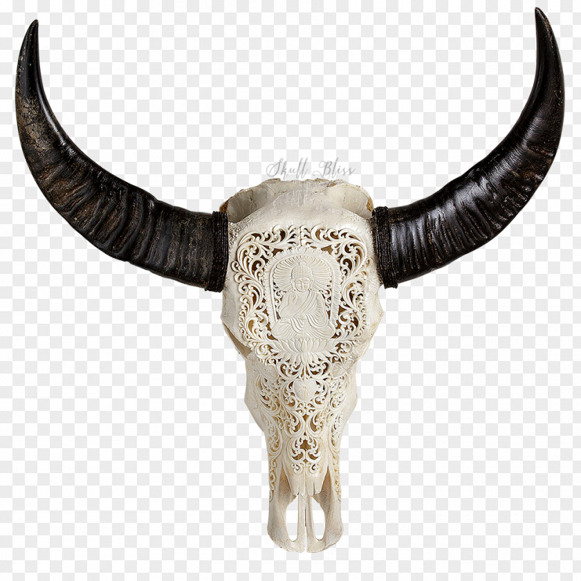 Carved Skull Horn Buffalo American Bison Bone PNG