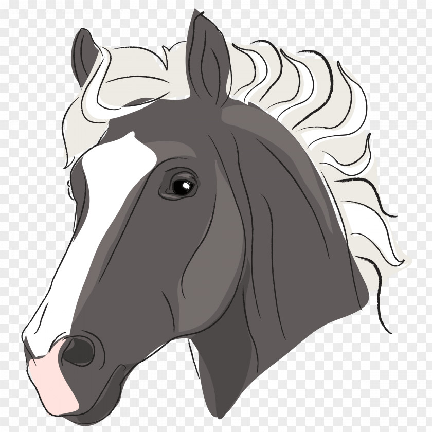 Horse Pony Image Clip Art PNG