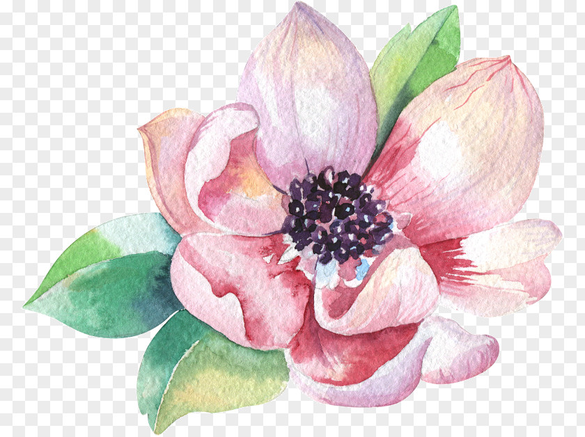 Magnolia Watercolor Painting Stock Photography Royalty-free PNG