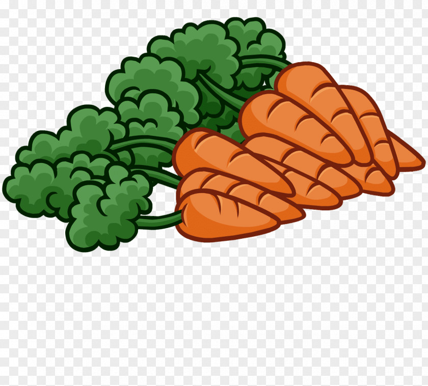 Broccoli Carrot Vegetable Clip Art PNG