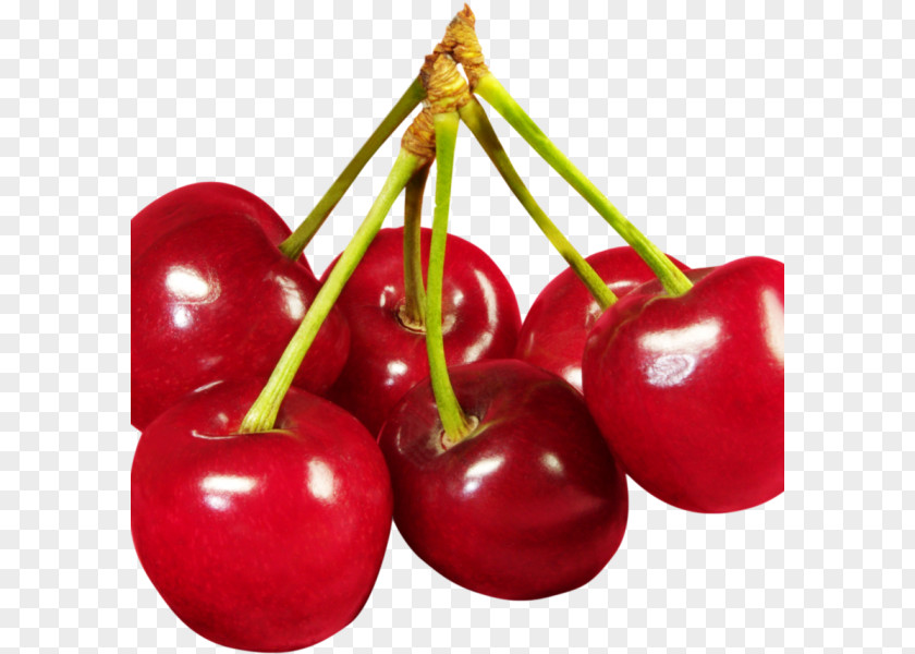 Cherry Cola Tutti Frutti Flanders Red Ale PNG
