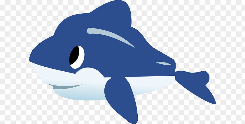 Cute Whale Dolphin Clip Art PNG
