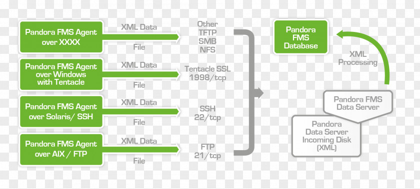 Pandora FMS Radio-frequency Identification Architecture Database Diagram PNG