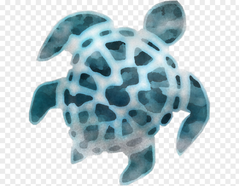 Sea Turtles Tortoise M Turquoise PNG
