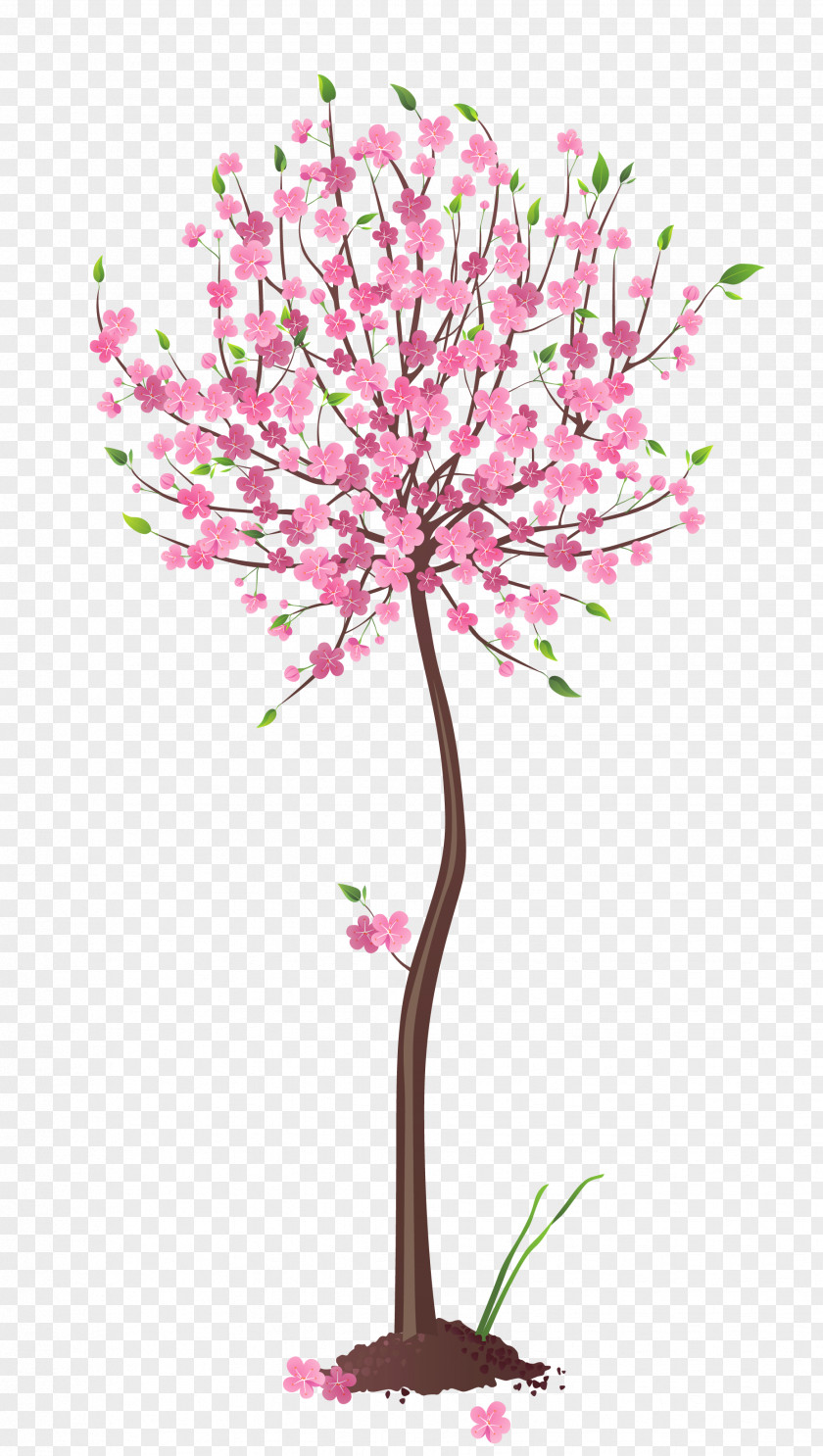 Spring Pink Tree Clipart Clip Art PNG