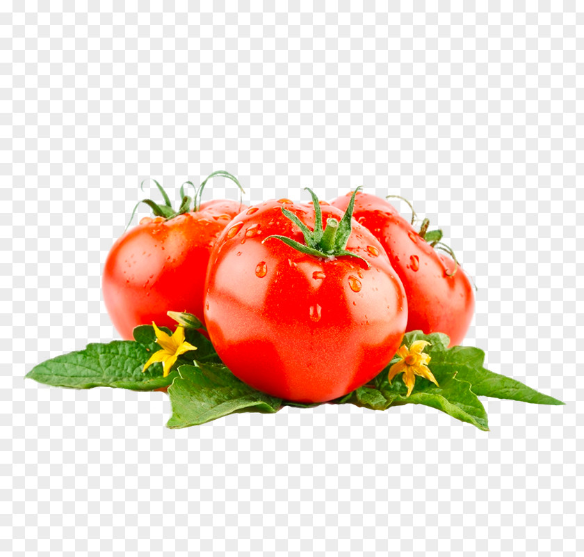 Tomato Juice Food Wallpaper PNG