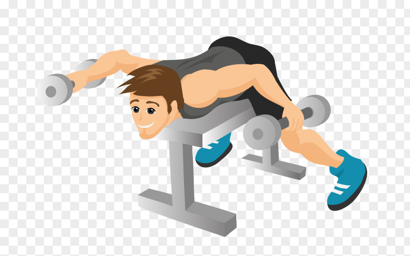 Balance Bodybuilding Fitness Cartoon PNG