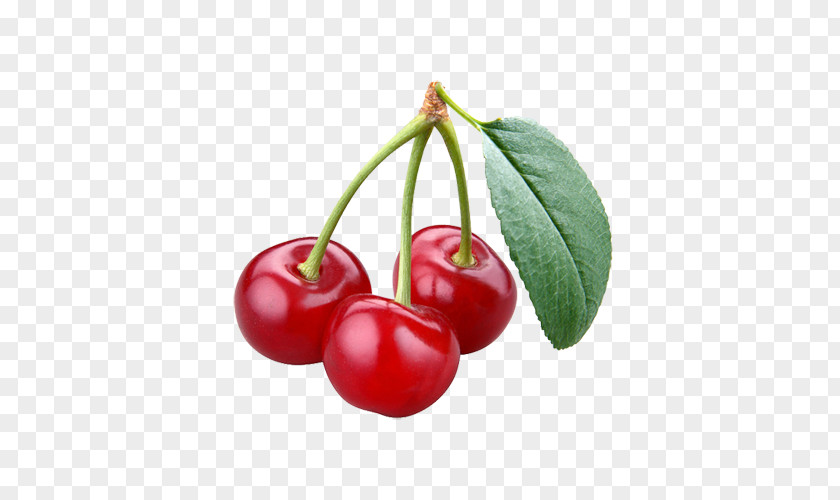 Cherry Bing Sour Fruit Food PNG