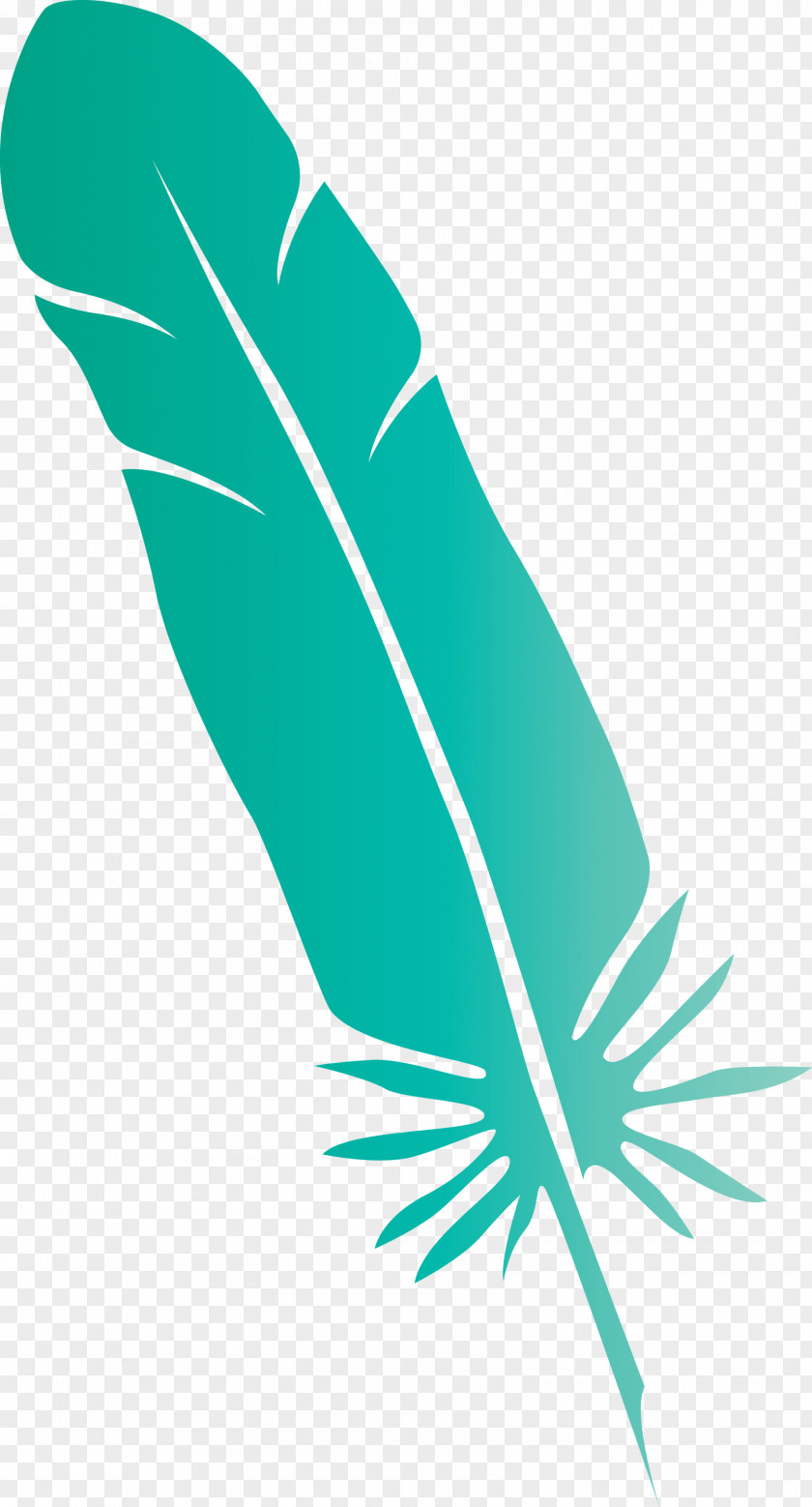 Feather PNG