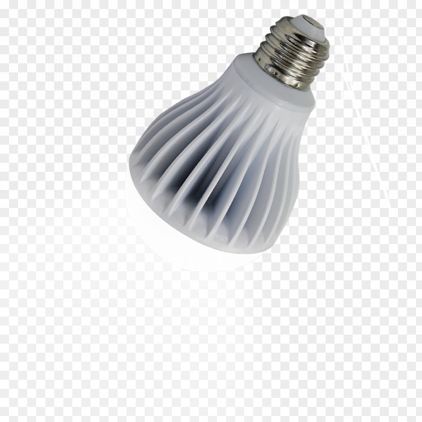 Light Bulb Incandescent Compact Fluorescent Lamp PNG
